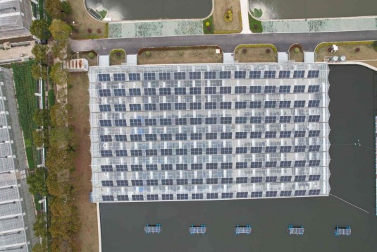 ����鿴��